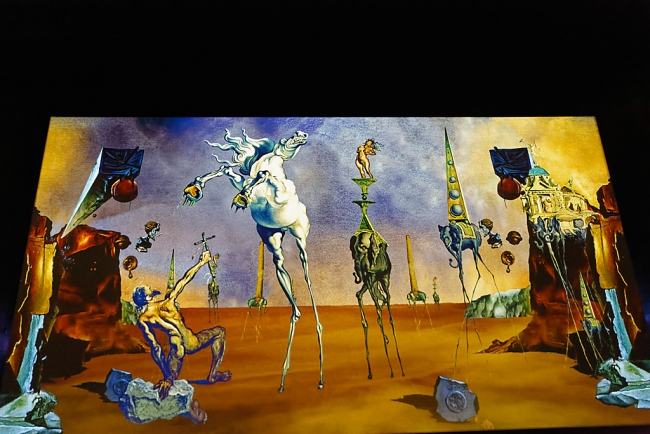 Bassins de lumières-Dali-029